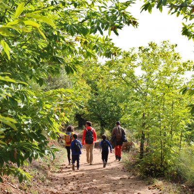 0. Castaños centenarios 8