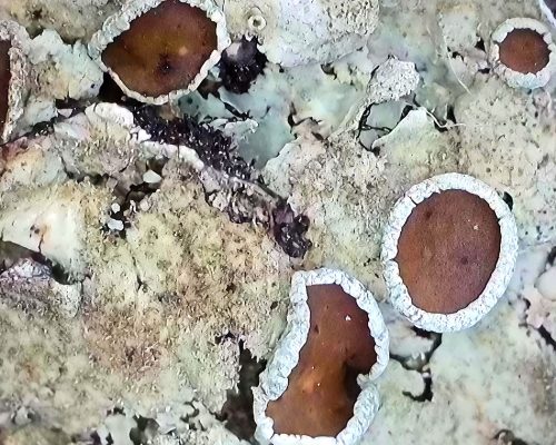 2025-11-22-124130928_edit_30596840764369