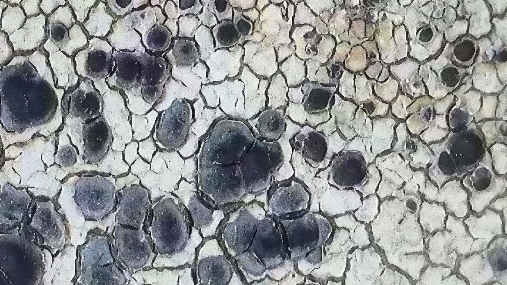 2025-11-22-124804010_edit_30913935563102