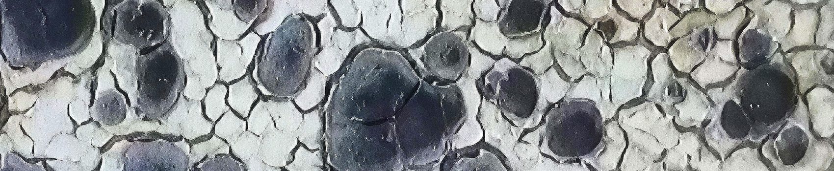 2025-11-22-124804010_edit_30913935563102