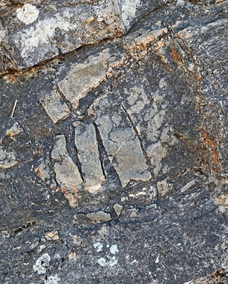 IMG_20250830_161639 IMG_20250830_161639