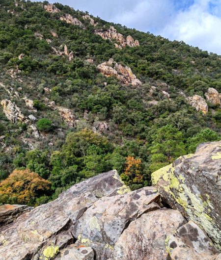 IMG_20260131_132830_edit_70937638799761