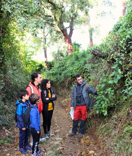 Actividades Enero - Febrero 2026