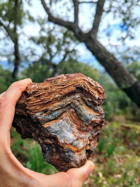 IMG_20260322_113944_edit_490984810870985