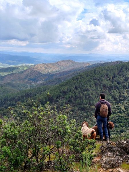 IMG_20260322_114649_edit_490071416052948