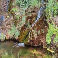 IMG_20260512_114635