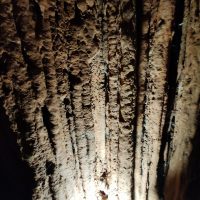 IMG_20260512_121845