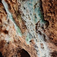 IMG_20260512_121915