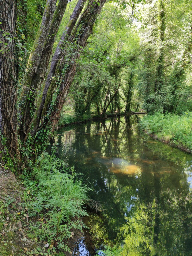 ecoturismo_SierradeAracena_ ruta_El_Repilado_Los_RomerosIMG_20260419_110249